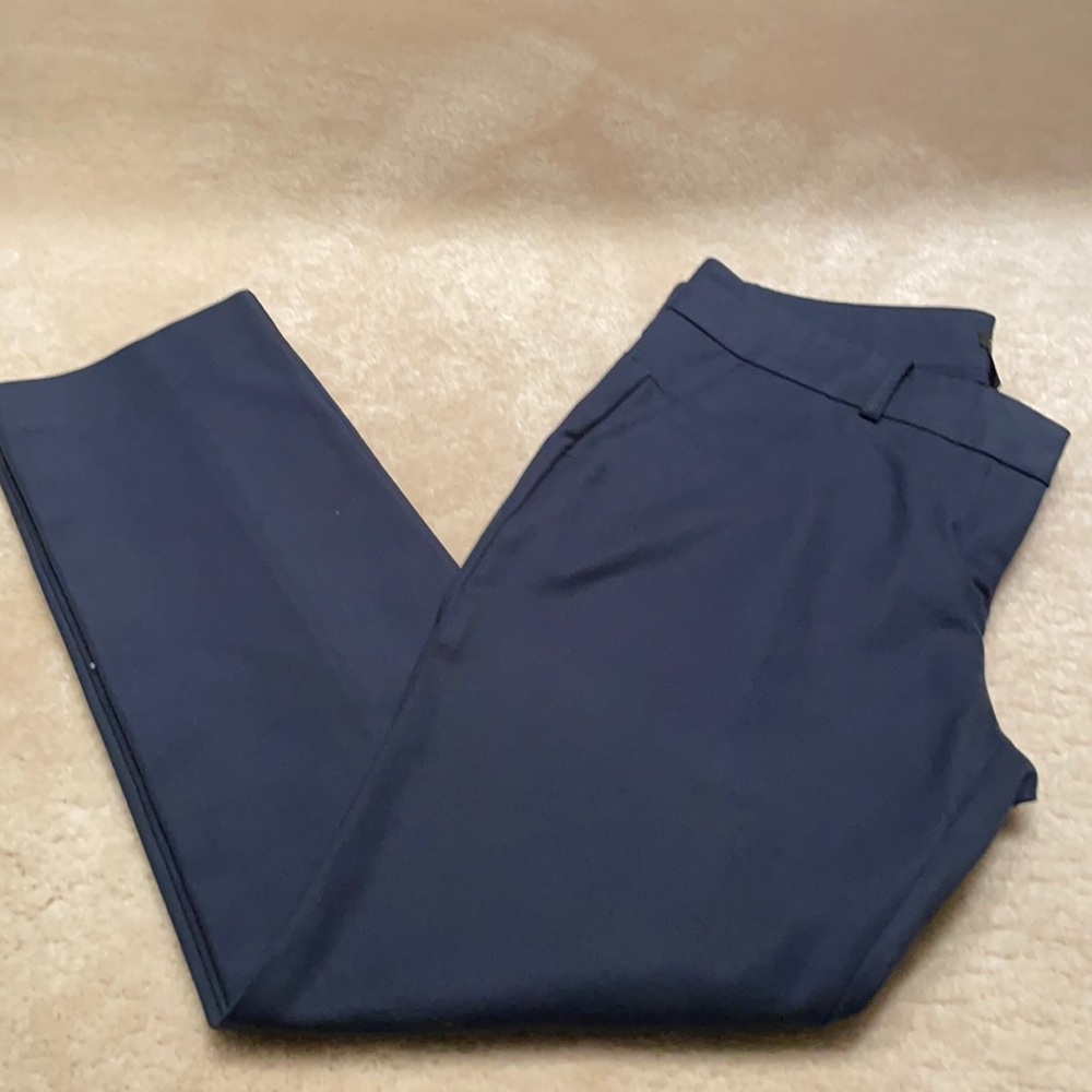 Ann Taylor Petite Modern Capris